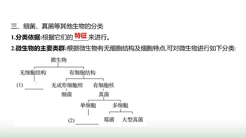 人教版八年级生物上册第六单元第一章第一节尝试对生物进行分类课件第4页