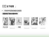 人教版八年级生物上册第六单元第三章保护生物的多样性课件