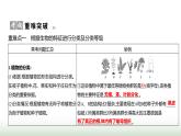 人教版八年级生物上册第六单元复习课课件