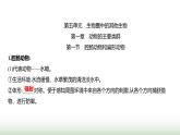 人教版八年级生物上册期末基础全回顾课件