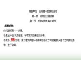 人教版八年级生物上册期末基础全回顾课件
