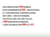 人教版八年级生物上册期末基础全回顾课件