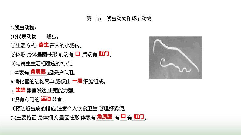 人教版八年级生物上册期末基础全回顾课件05