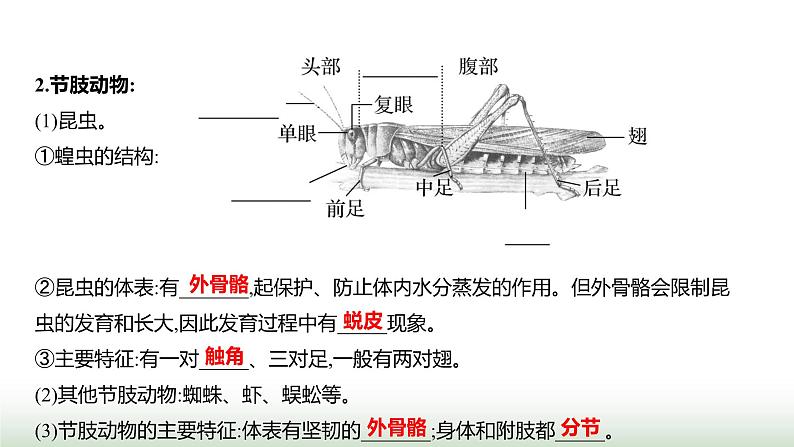 人教版八年级生物上册期末基础全回顾课件08