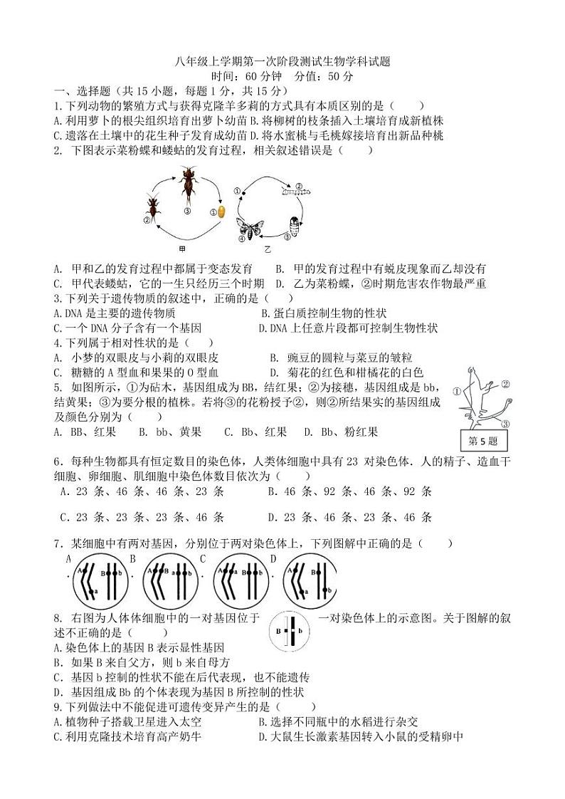 山东省泰安市新泰市青云中学2023—2024学年八年级上学期10月月考生物试题01