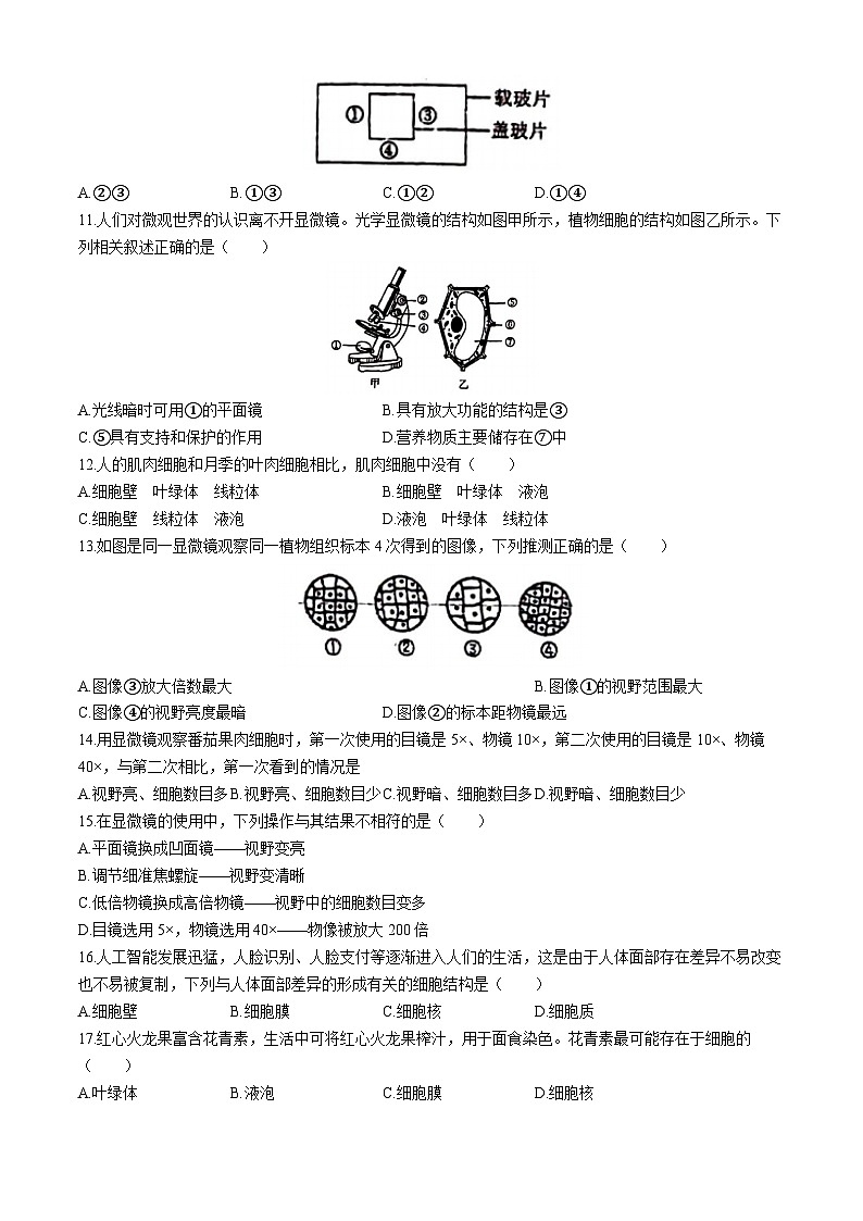 山东省青岛市城阳第九中学2024-—2025学年七年级上学期10月阶段性检测生物检测试卷(无答案)第2页