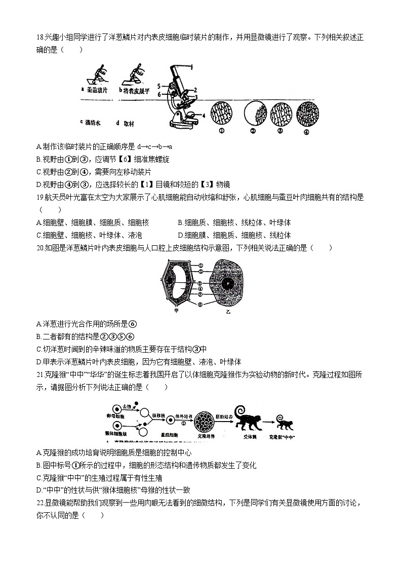 山东省青岛市城阳第九中学2024-—2025学年七年级上学期10月阶段性检测生物检测试卷(无答案)第3页
