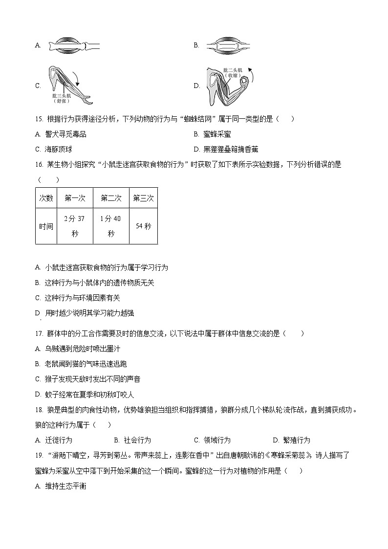 吉林省吉林市第九中学2024-2025学年九年级上学期第一次月考生物学试题（原卷版）第3页