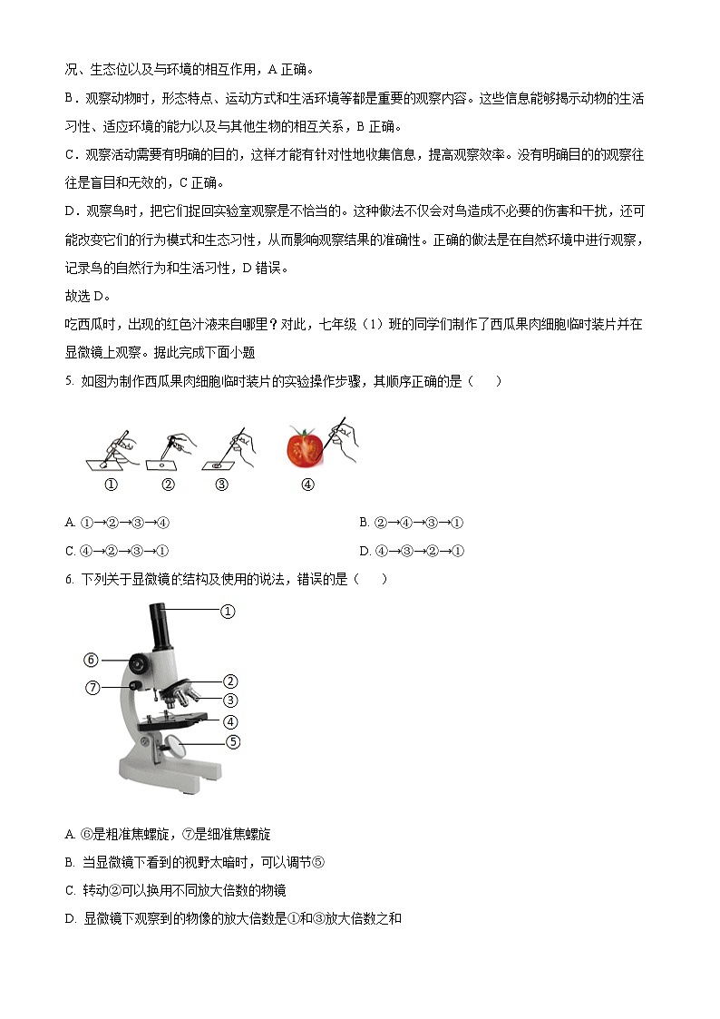 湖北省孝感市汉川市部分学校2024-2025学年七年级上学期第一次月考生物试题（解析版）第3页