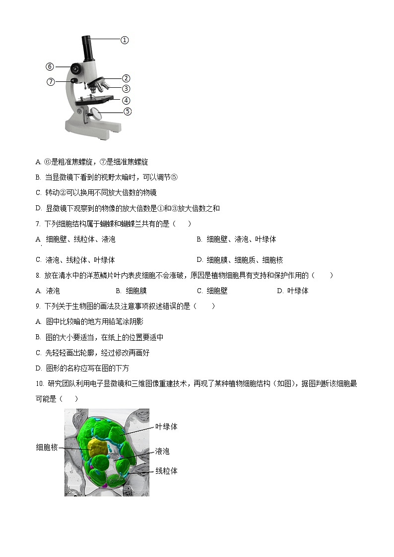 湖北省孝感市汉川市部分学校2024-2025学年七年级上学期第一次月考生物试题（原卷版）第2页
