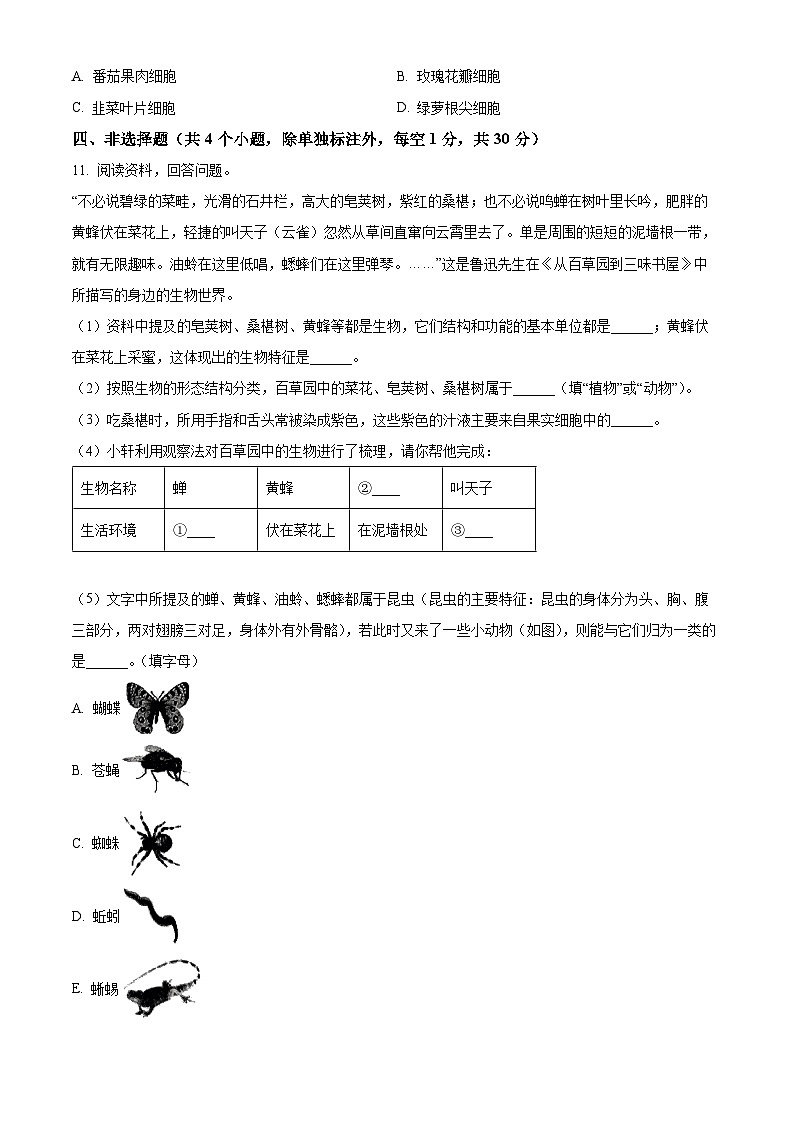 湖北省孝感市汉川市部分学校2024-2025学年七年级上学期第一次月考生物试题（原卷版）第3页