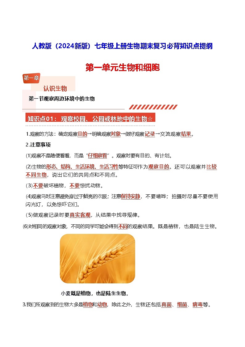人教版（2024新版）七年级上册生物期末复习必背知识点提纲01