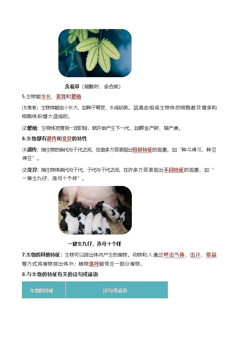 人教版（2024新版）七年级上册生物期末复习必背知识点提纲03