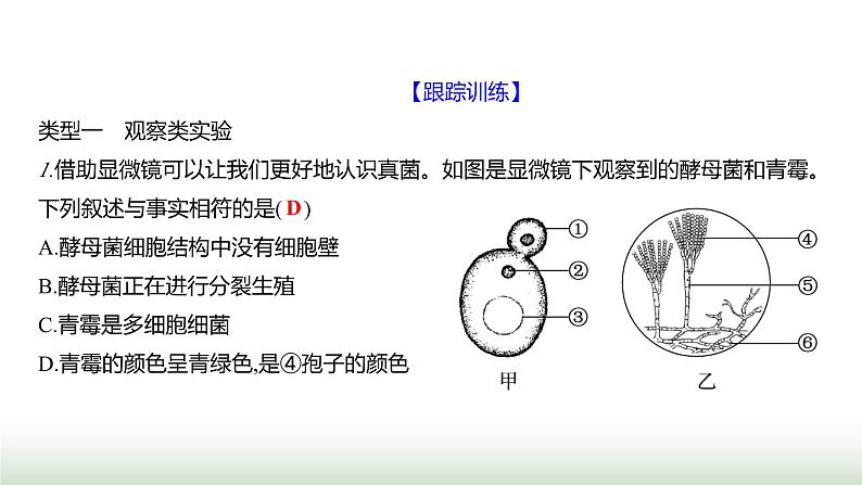 人教版八年级生物上册题型三实验探究题课件第7页