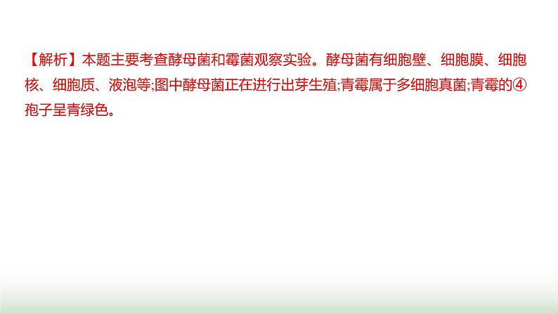 人教版八年级生物上册题型三实验探究题课件第8页