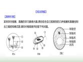 人教版八年级生物上册题型一识图理解题课件