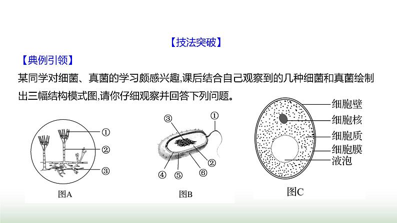 人教版八年级生物上册题型一识图理解题课件第2页