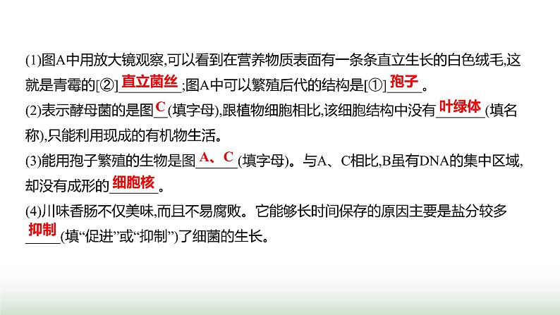 人教版八年级生物上册题型一识图理解题课件第3页