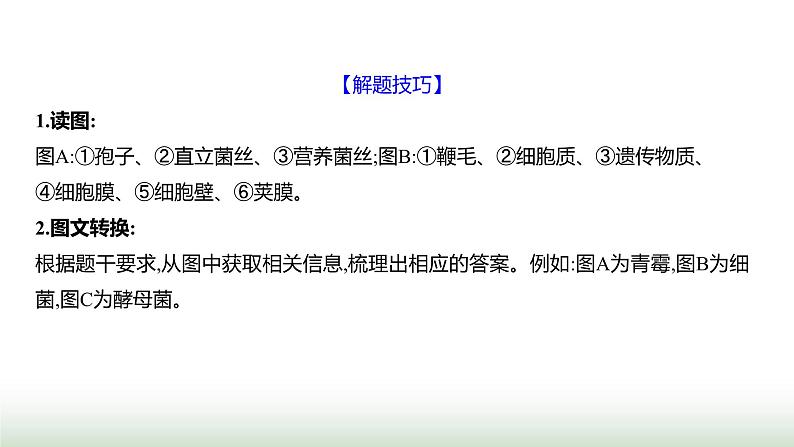 人教版八年级生物上册题型一识图理解题课件第5页