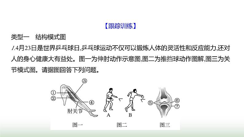 人教版八年级生物上册题型一识图理解题课件第6页