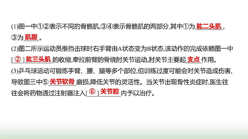 人教版八年级生物上册题型一识图理解题课件第7页