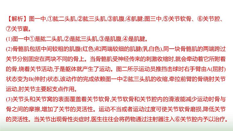 人教版八年级生物上册题型一识图理解题课件第8页