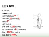 人教版八年级生物上册第五单元第一章第二节线虫动物和环节动物课件