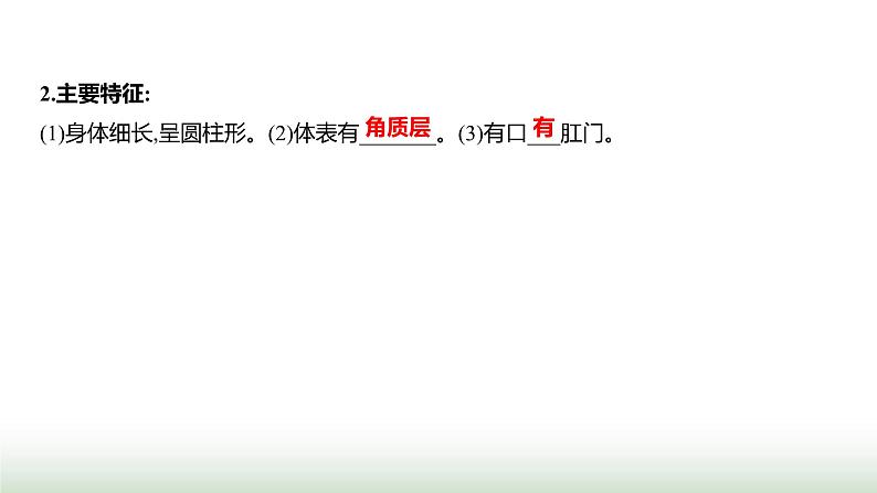 人教版八年级生物上册第五单元第一章第二节线虫动物和环节动物课件第3页