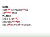人教版八年级生物上册第五单元第一章第二节线虫动物和环节动物课件