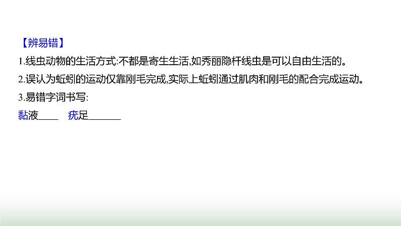 人教版八年级生物上册第五单元第一章第二节线虫动物和环节动物课件第7页