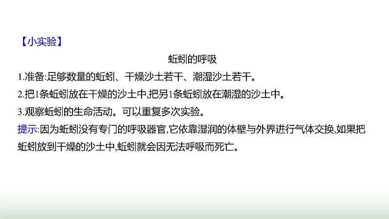 人教版八年级生物上册第五单元第一章第二节线虫动物和环节动物课件第8页