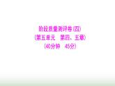 人教版八年级生物上册阶段质量测评卷(四)课件