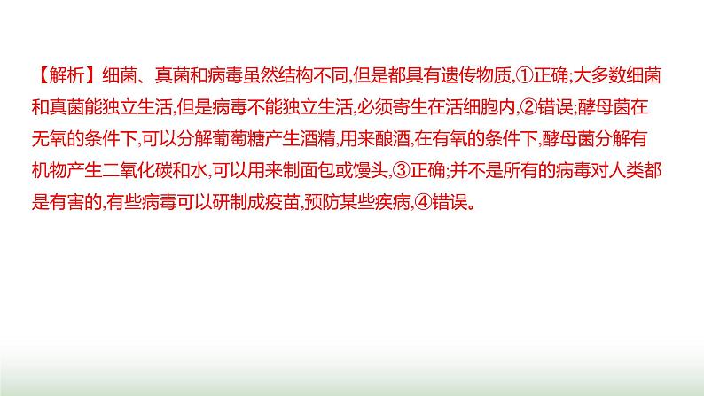 人教版八年级生物上册阶段质量测评卷(四)课件08