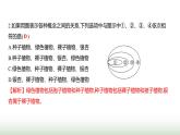 人教版八年级生物上册阶段质量测评卷(五)课件