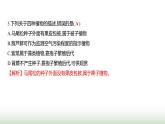 人教版八年级生物上册阶段质量测评卷(五)课件