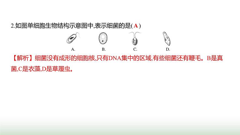 人教版八年级生物上册阶段质量测评卷(三)课件03