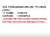人教版八年级生物上册阶段质量测评卷(三)课件