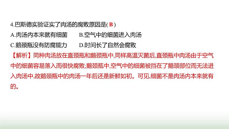 人教版八年级生物上册阶段质量测评卷(三)课件05