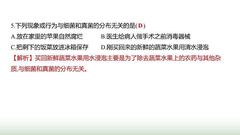 人教版八年级生物上册阶段质量测评卷(三)课件06