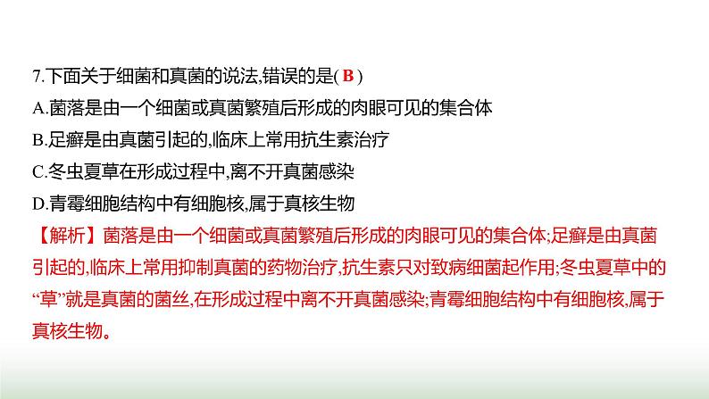 人教版八年级生物上册阶段质量测评卷(三)课件08