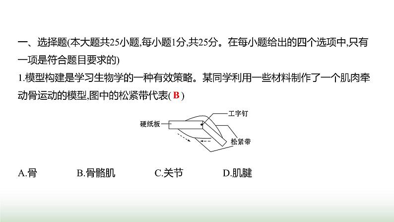 人教版八年级生物上册阶段质量测评卷(二)课件第2页