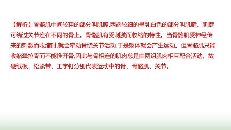 人教版八年级生物上册阶段质量测评卷(二)课件第3页