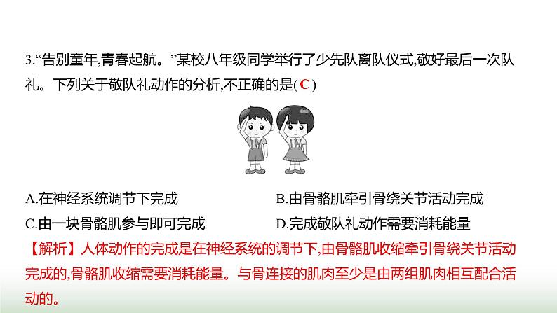 人教版八年级生物上册阶段质量测评卷(二)课件第5页