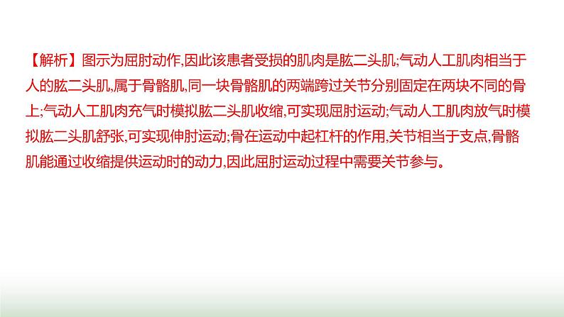 人教版八年级生物上册阶段质量测评卷(二)课件第7页