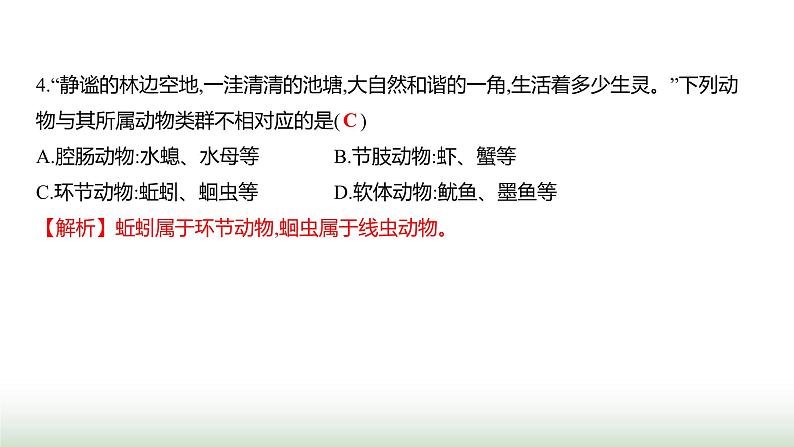 人教版八年级生物上册阶段质量测评卷(一)课件05