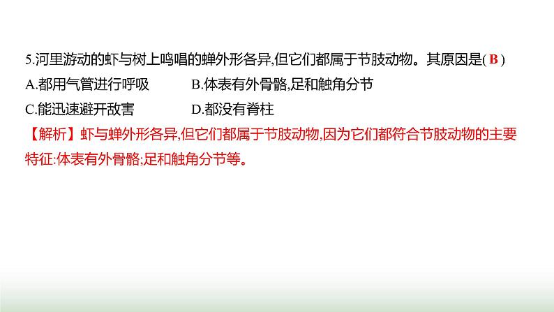 人教版八年级生物上册阶段质量测评卷(一)课件06