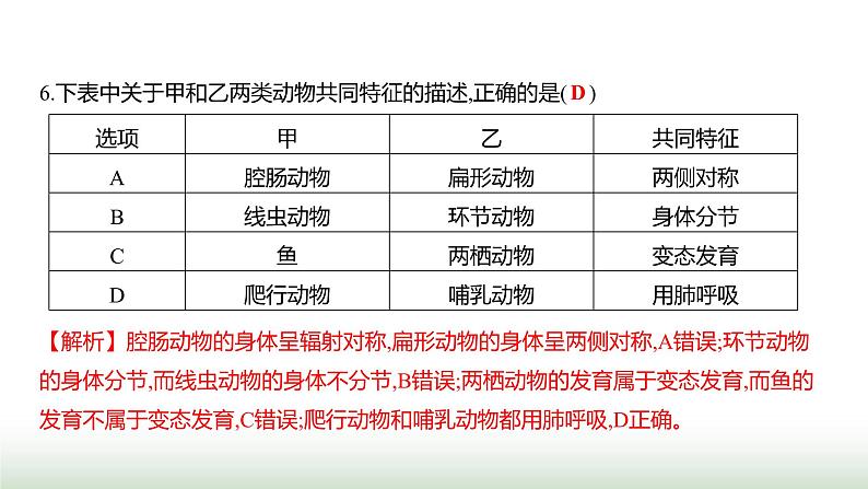 人教版八年级生物上册阶段质量测评卷(一)课件07