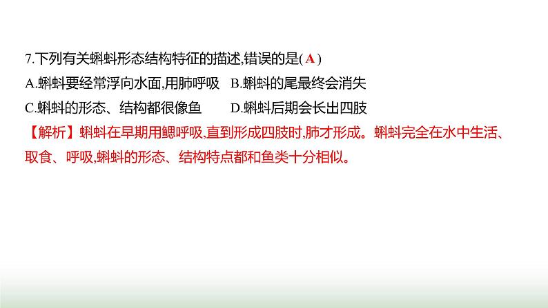 人教版八年级生物上册阶段质量测评卷(一)课件08