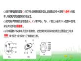 人教版七年级生物上册素养提升专项课件