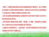 人教版七年级生物上册素养提升专项课件